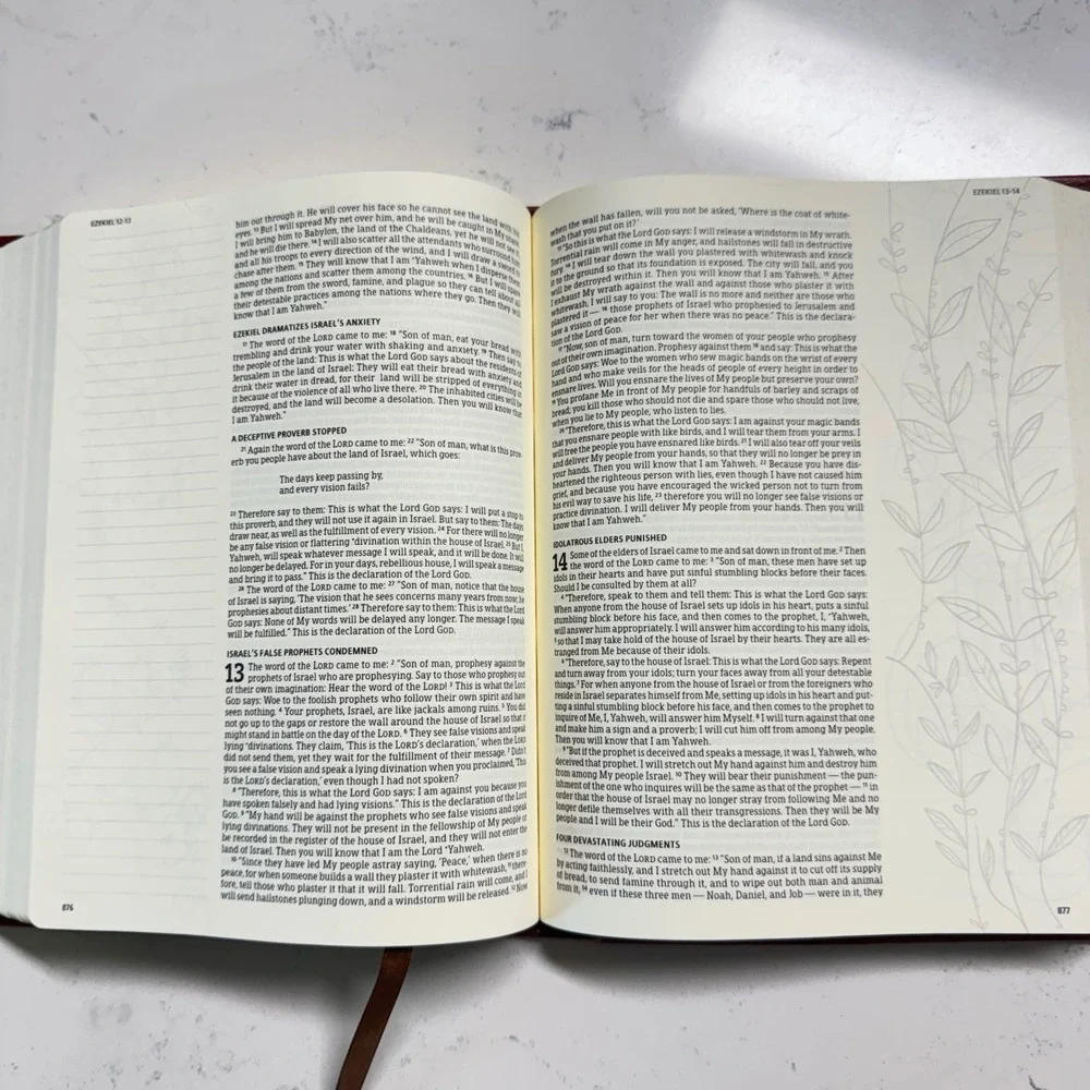 Holman Notetaking Bible HCSB Brown LeatherTouch Illustrator Edition